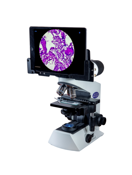 JBM-011R Upright Metallographic Microscope