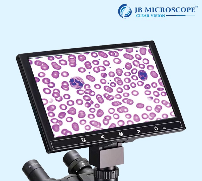 LCD MICROSCOPE DISPLAY SCREEN (STANDARD)