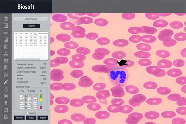 Biosoft